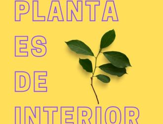 Ninguna Planta es de Interior