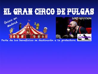 Gran Circo de Pulgas Madrid