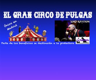 Gran Circo de Pulgas