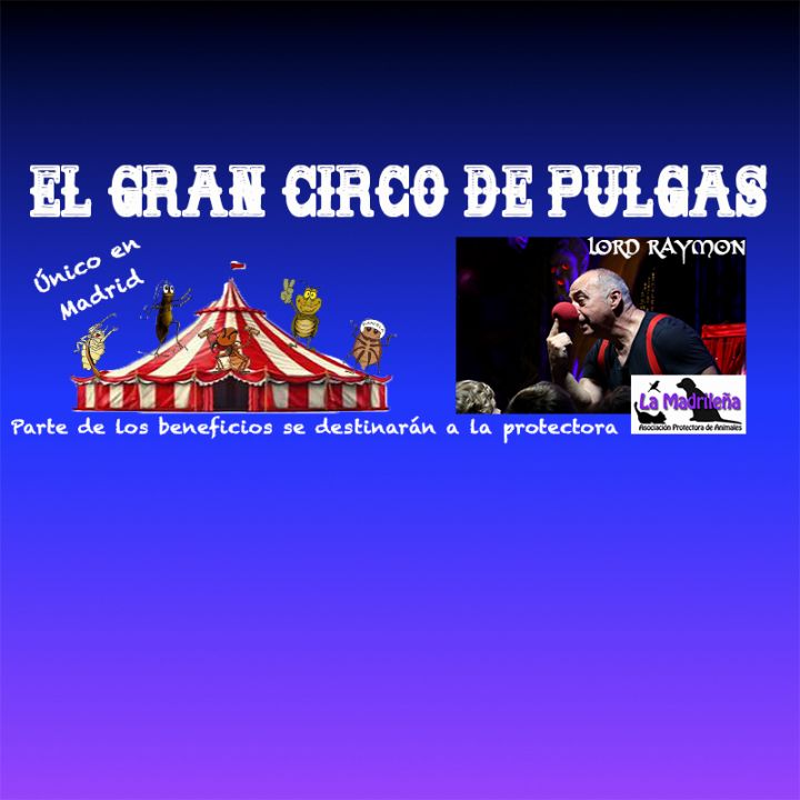 Gran Circo de Pulgas Madrid