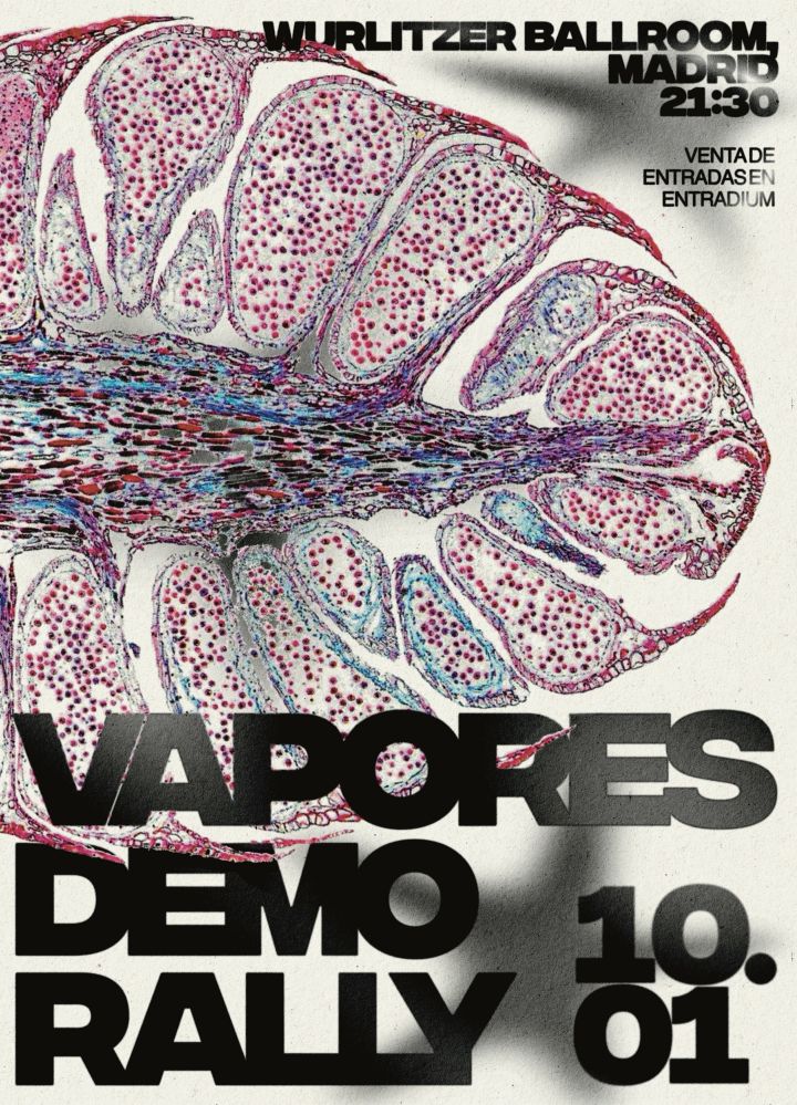 Vapores + Demo Rally