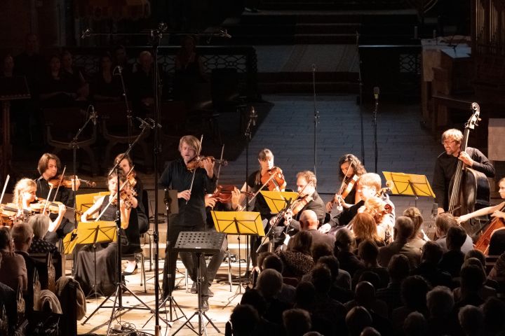 Stift Festival Orchestra