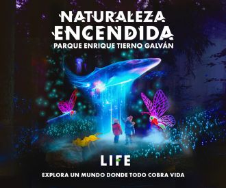 Naturaleza Encendida en Madrid