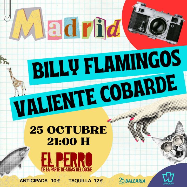 Billy Flamingos + Valiente Cobarde