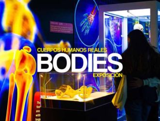 Exposición Bodies