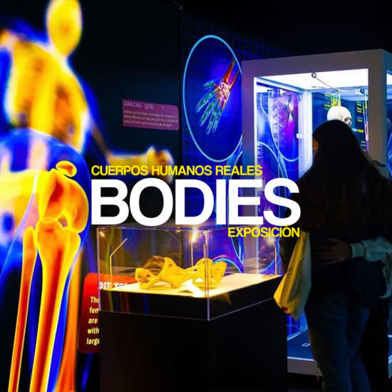 Exposición Bodies