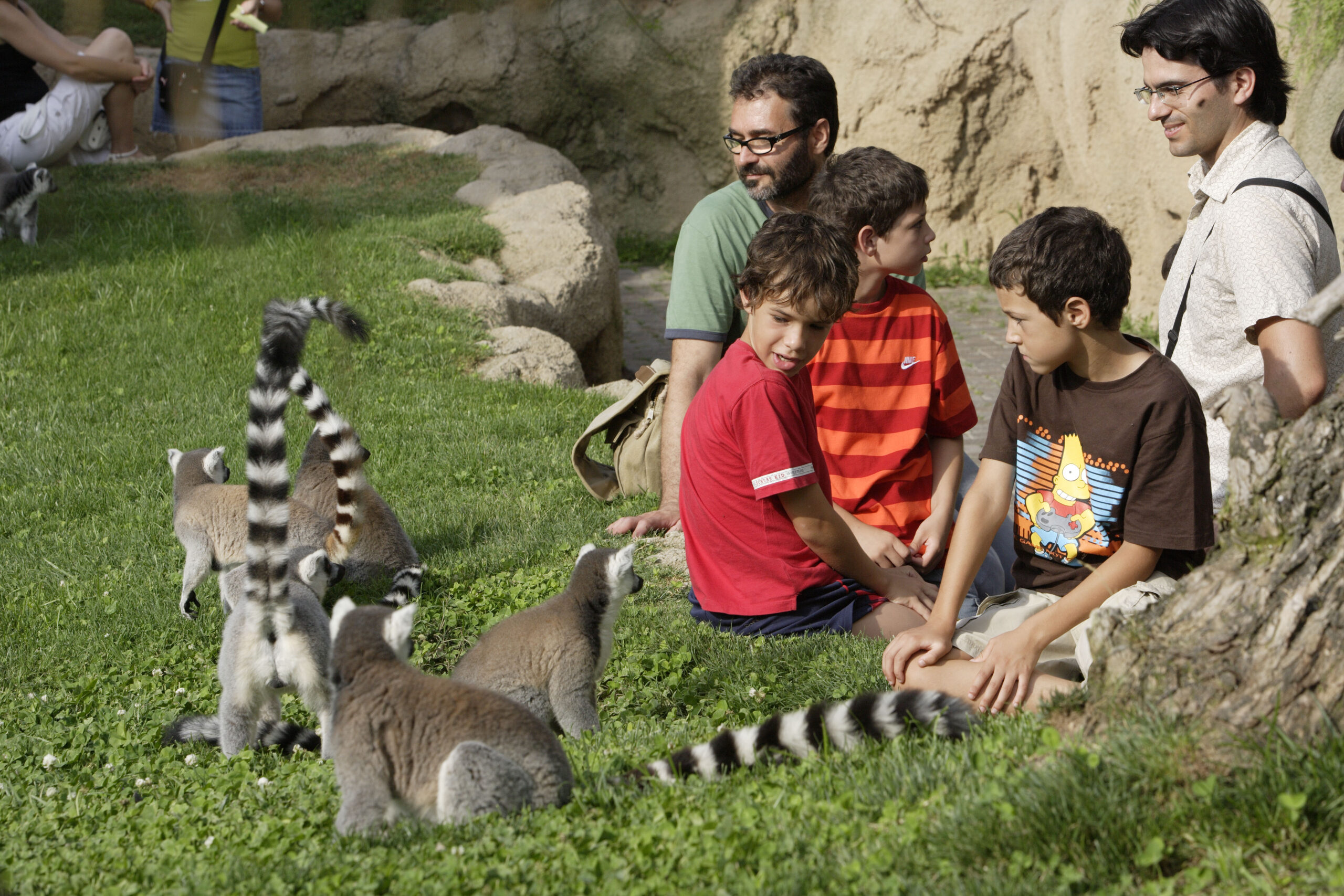 Entradas Bioparc Valencia | Taquilla.com