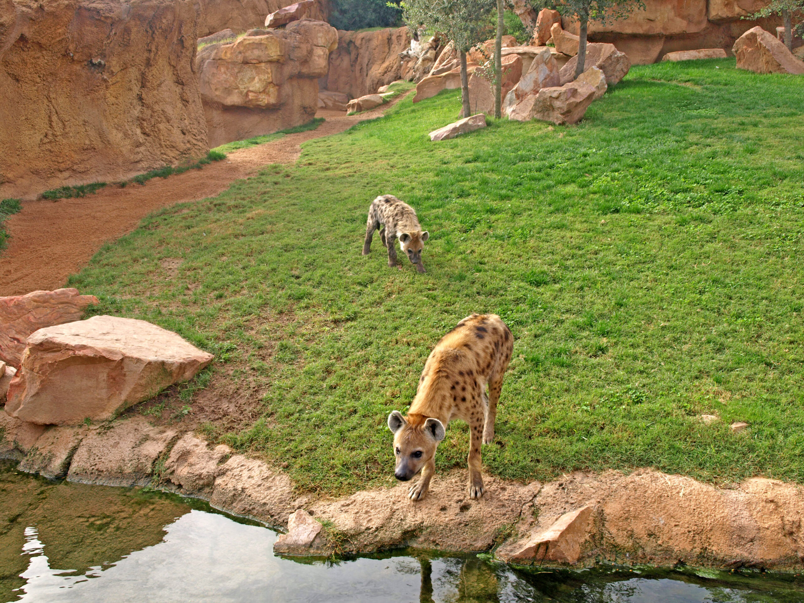 Entradas Bioparc Valencia Taquilla Com