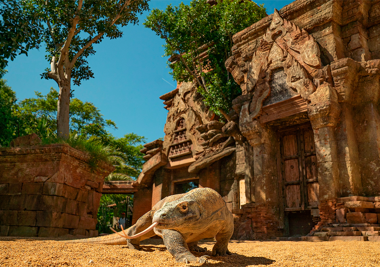 Entradas Bioparc Fuengirola Taquilla